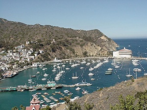 Catalina-Island10.jpg