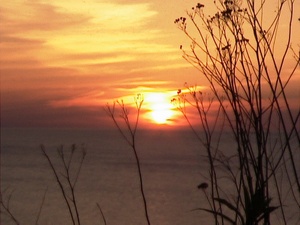 Cottage Sunset3.jpg