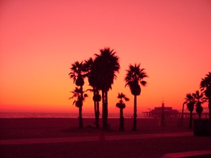 Santa Monica Beach through my Glasses.jpg