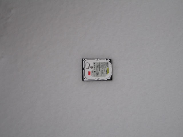 snowjob2